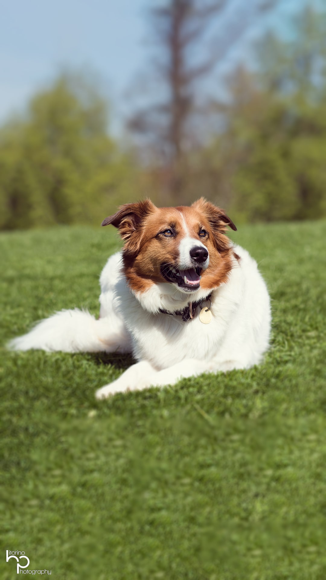 Porträt einer Person mit natürlichem Licht
