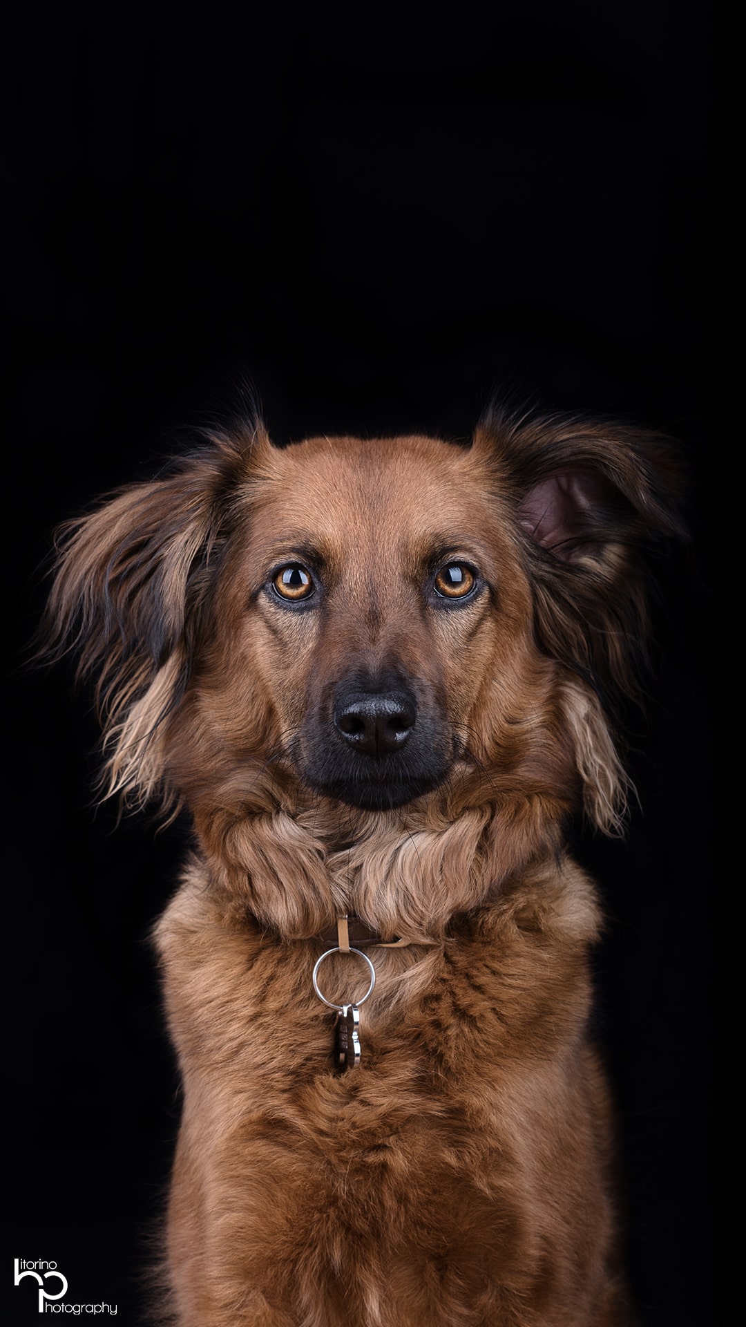 Porträt einer Person mit natürlichem Licht