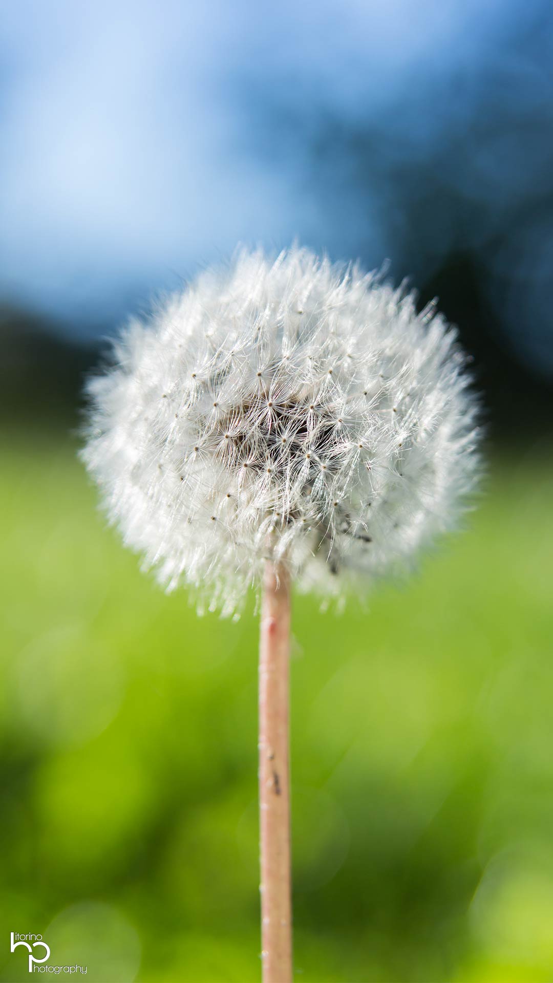 Porträt einer Person mit natürlichem Licht