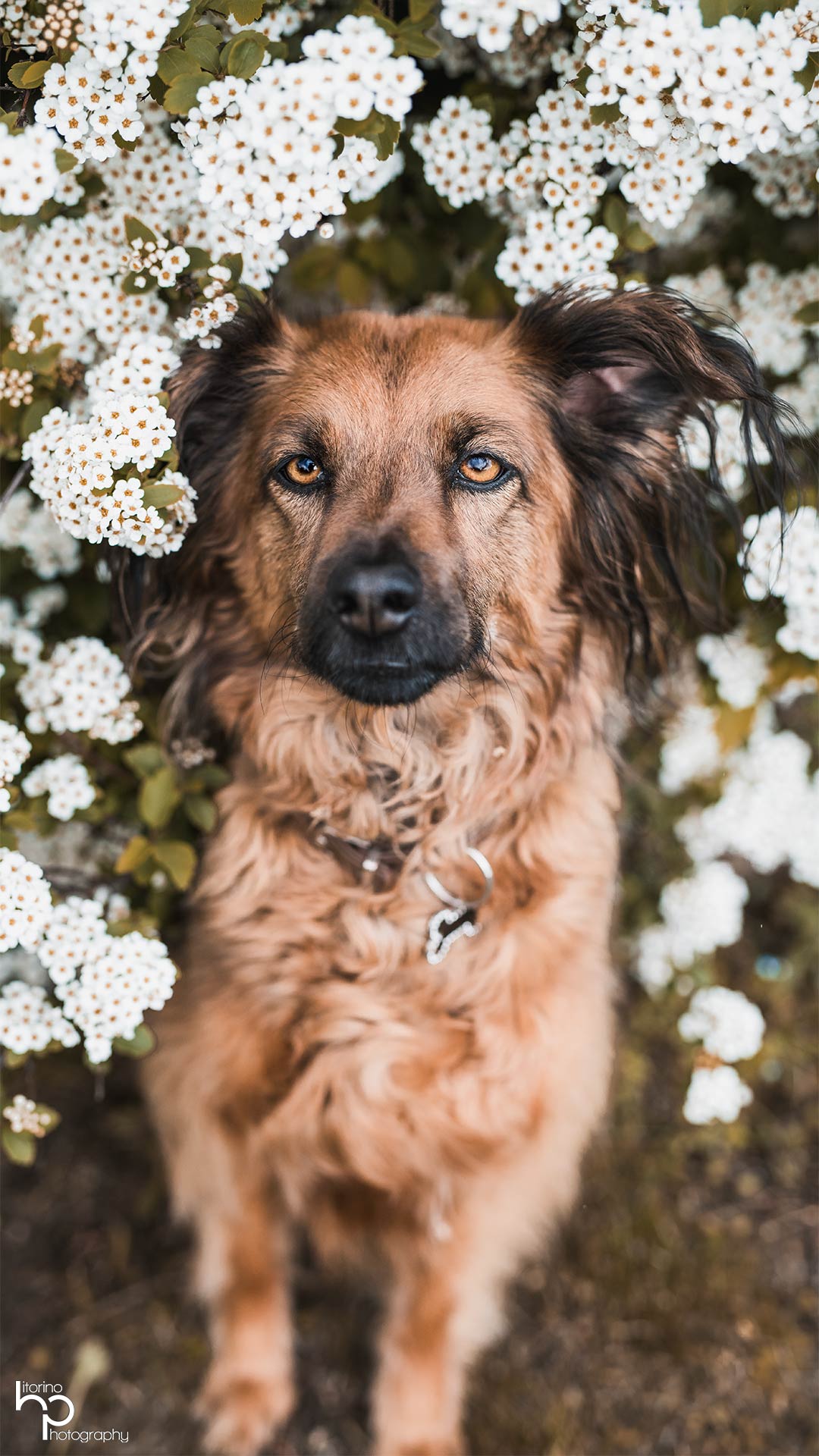 Porträt einer Person mit natürlichem Licht