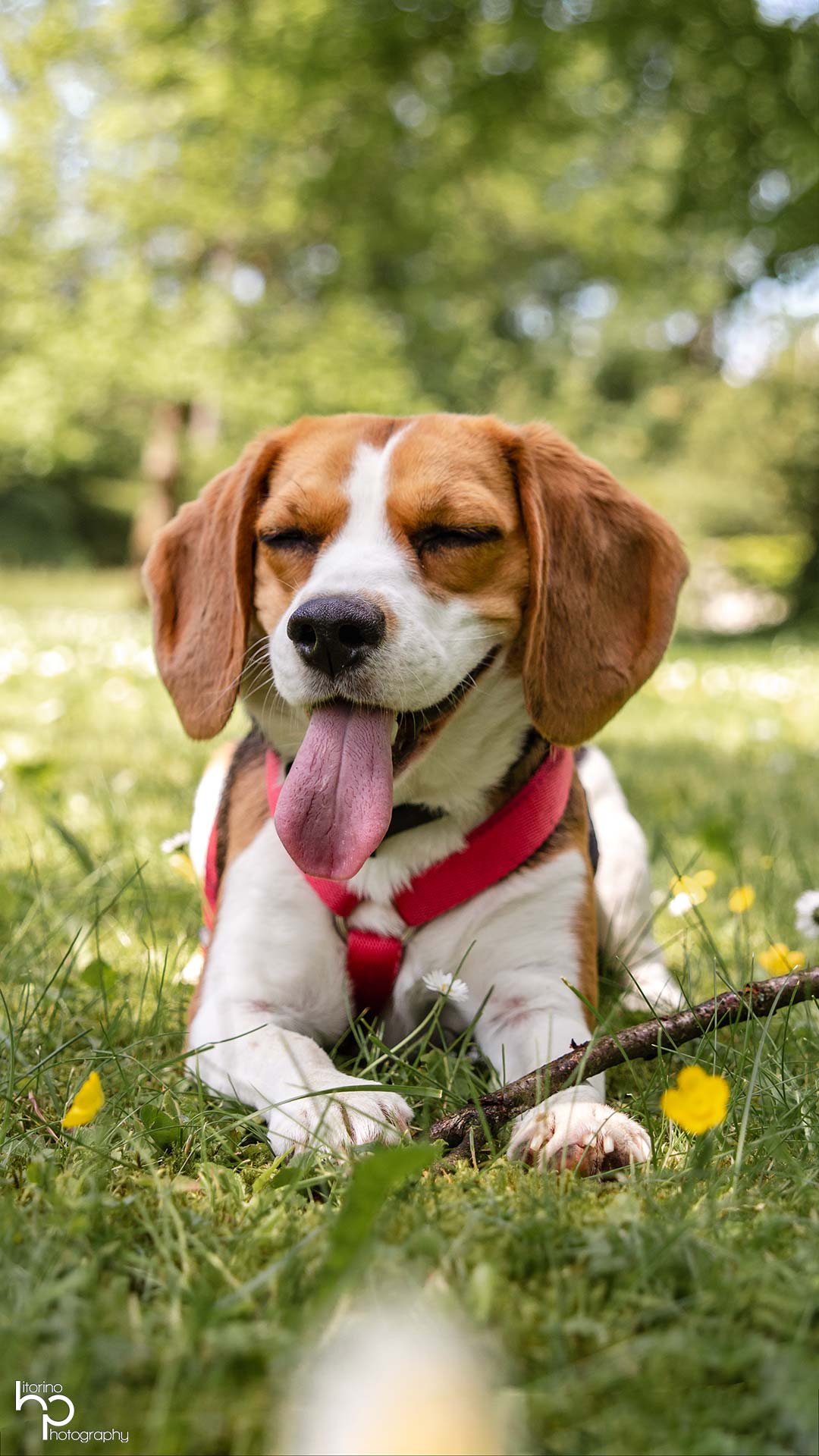 Porträt einer Person mit natürlichem Licht