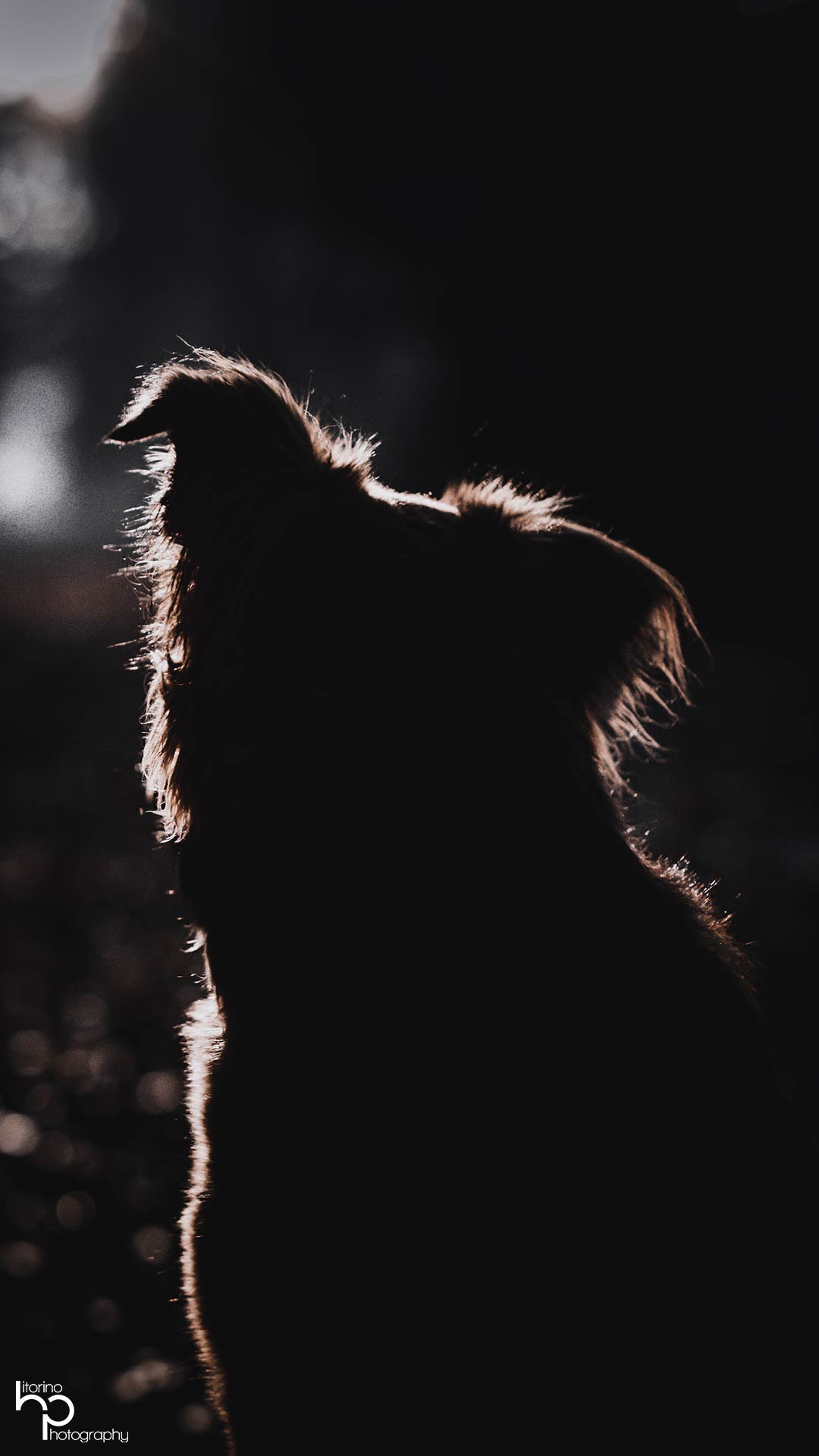 Porträt einer Person mit natürlichem Licht