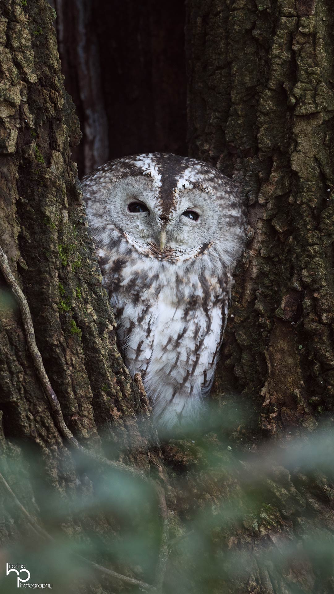 Porträt einer Person mit natürlichem Licht