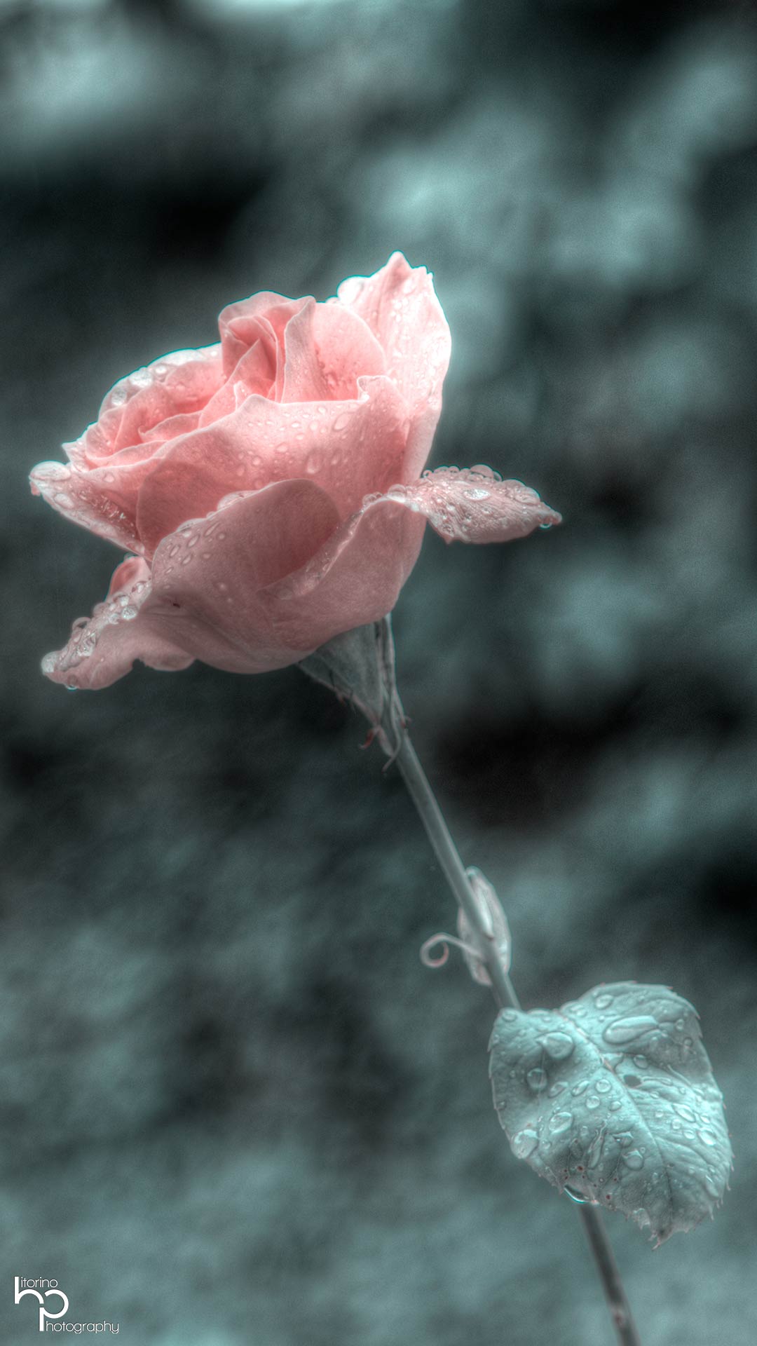 Porträt einer Person mit natürlichem Licht